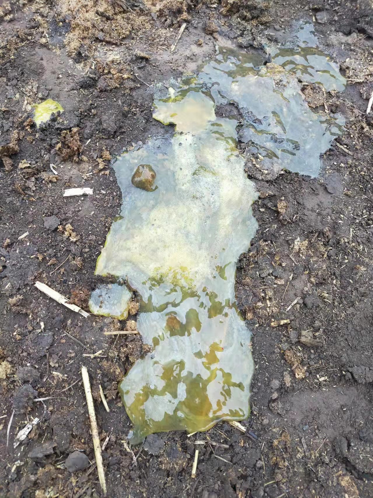 腹泻拉稀.jpg 腹泻拉稀.jpg